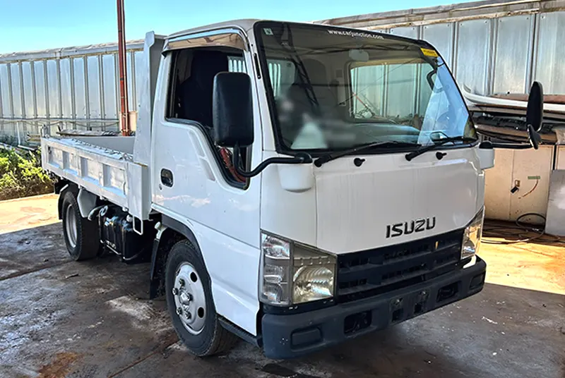 Isuzu / Elf 2008