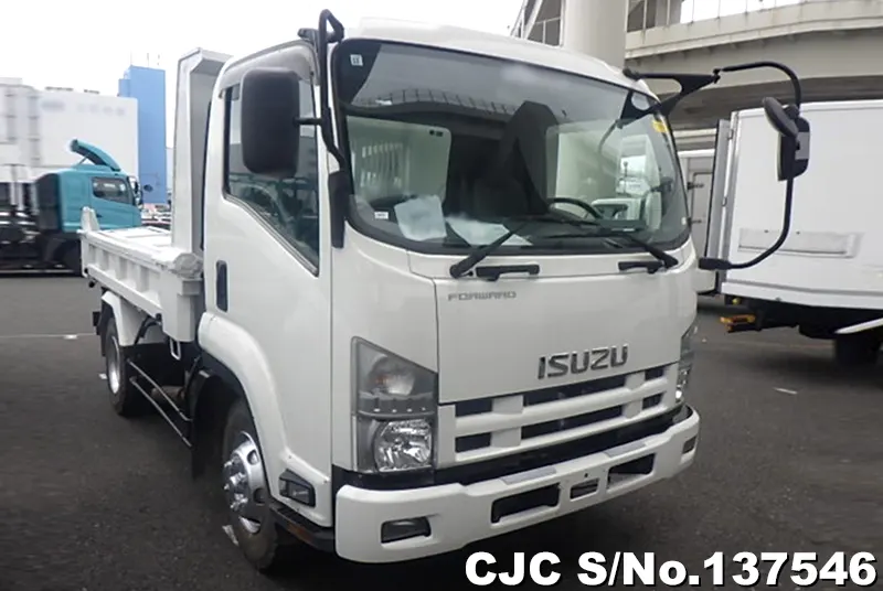 Isuzu / Forward 2007