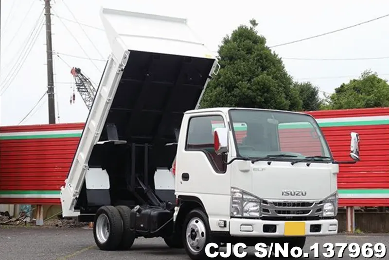 Isuzu / Elf 2019